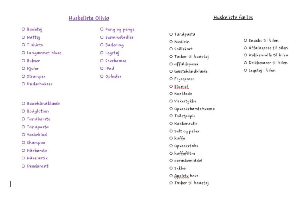 huskeliste til rejsen